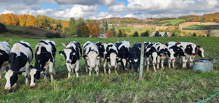 SUNY Morrisville adds new degree in agricultural science 